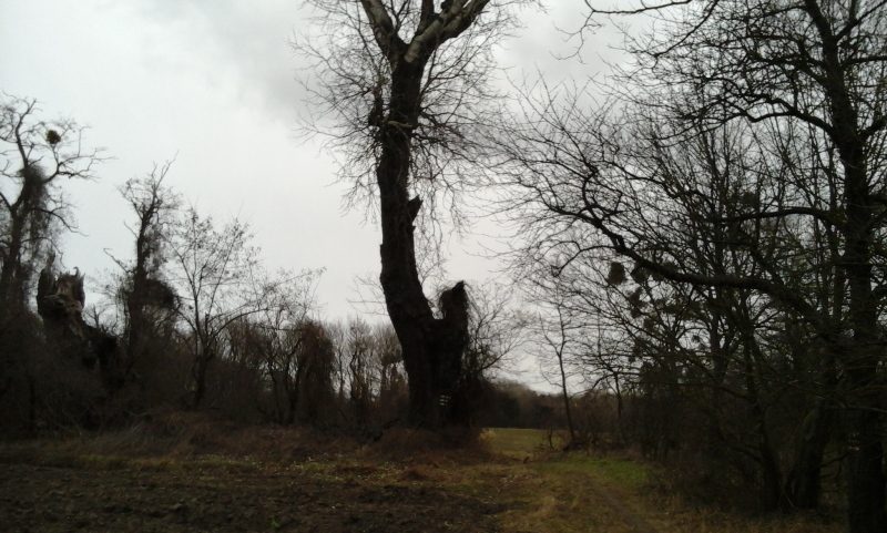 Weitwanderweg 07