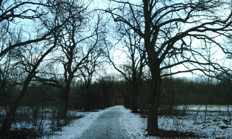 Vorwerkstraße im Winter