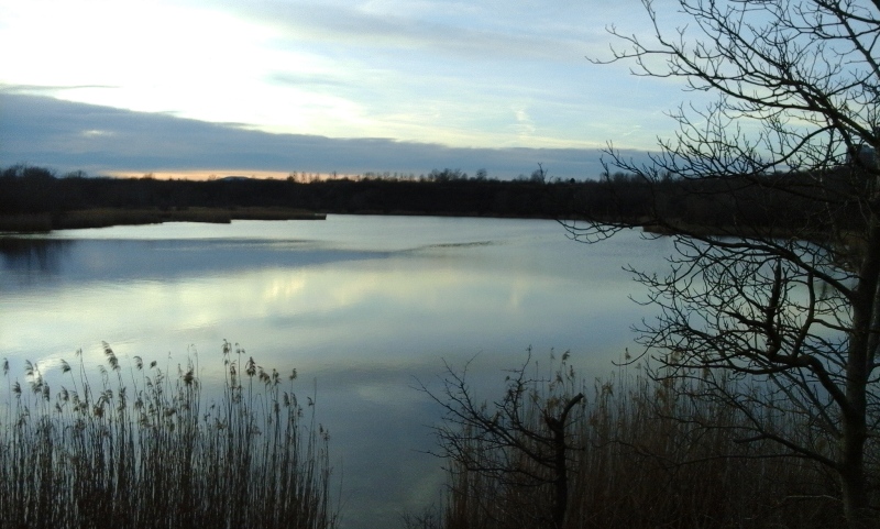 Abends am Wienerbergsee