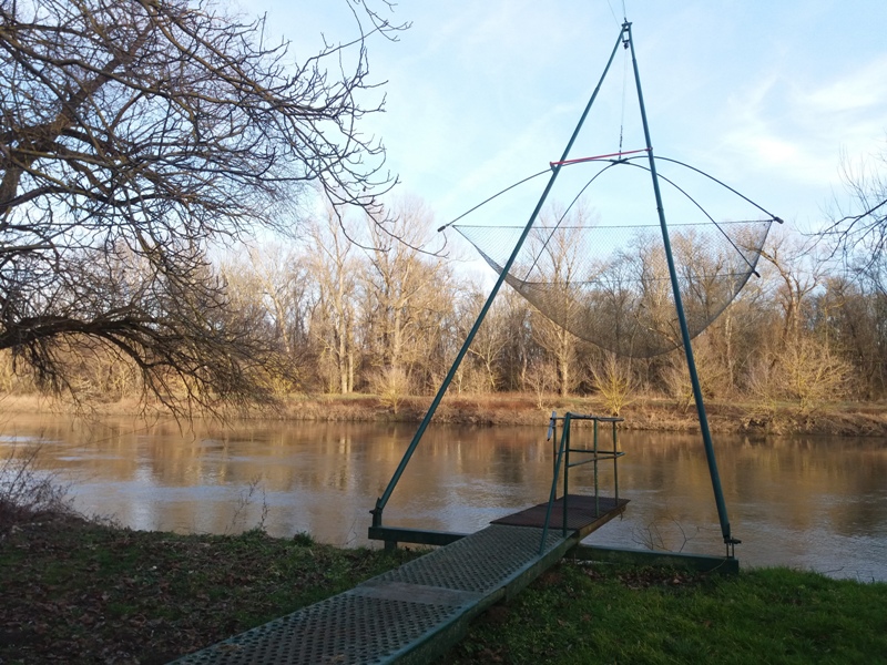 Fischernetz bei Stillfried