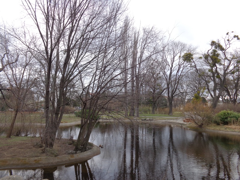 Teich im Schweizer Garten