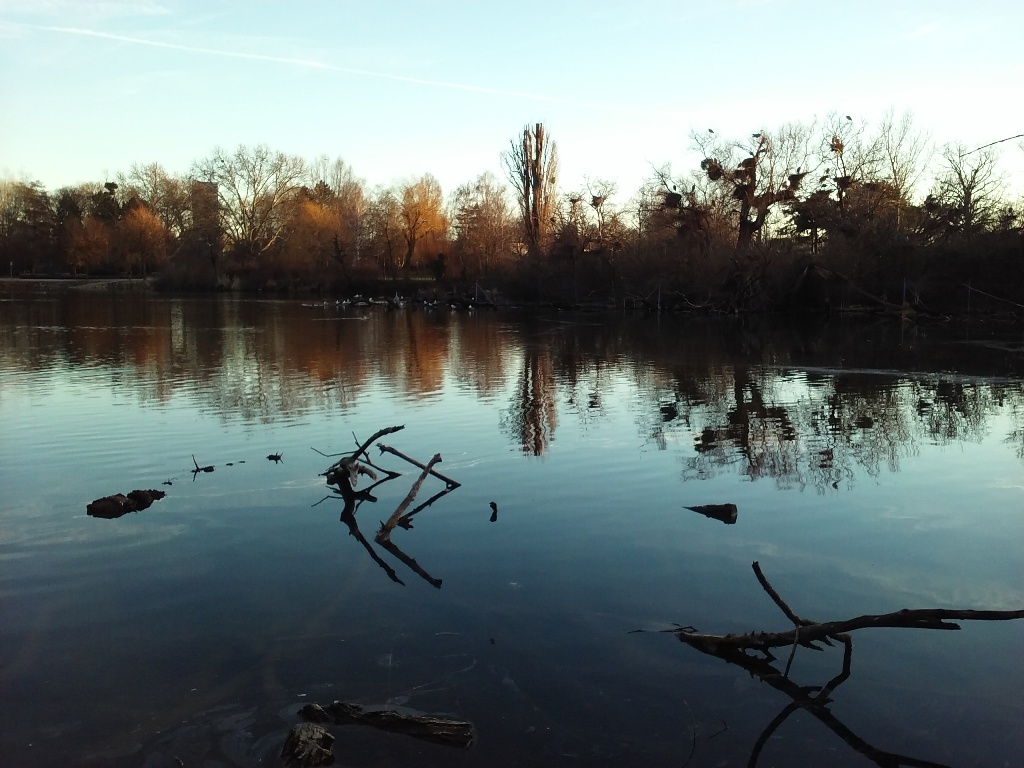 Vogelinsel im Wasserpark