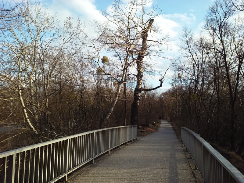 Brücke am Heustadlwasser