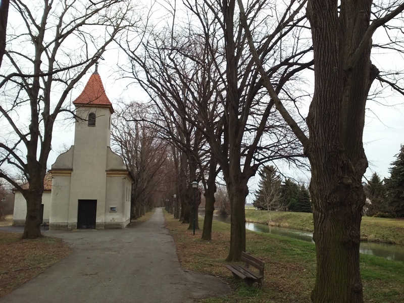 Parbasdorfer Allee im Winter