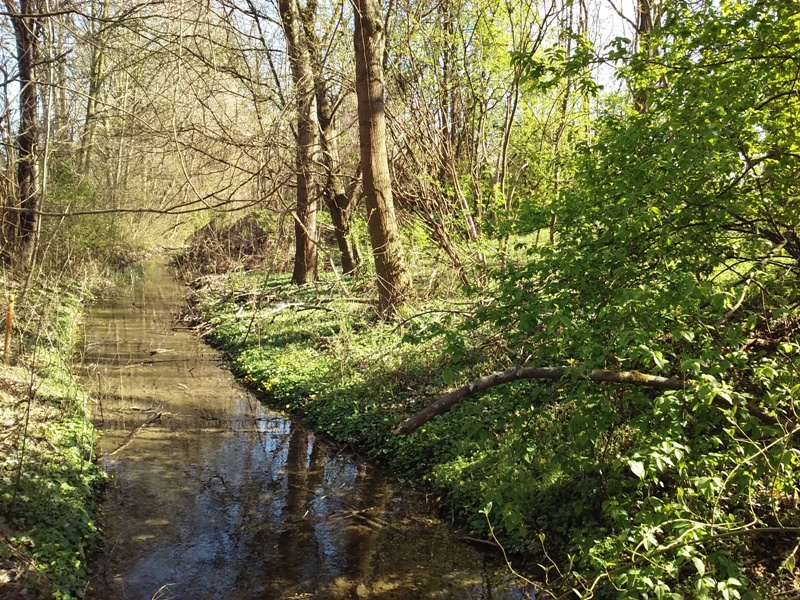 Idylle am Bach