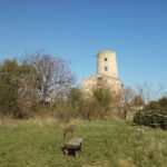 Ruine Markgrafneusiedl