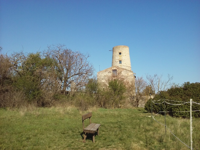 Ruine Markgrafneusiedl