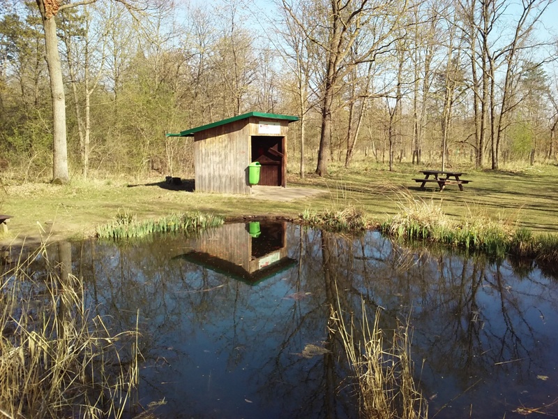 Waldbiotop Straßhof