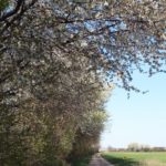 Wanderweg bei Helmahof