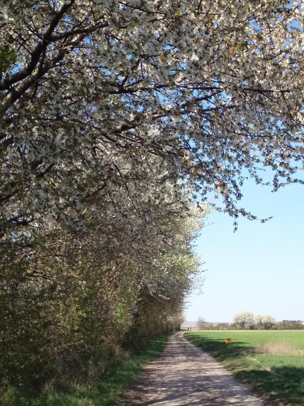 Wanderweg bei Helmahof