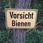 Vorsicht Bienen