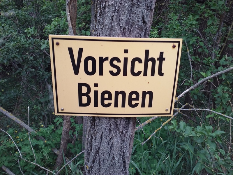 Vorsicht Bienen