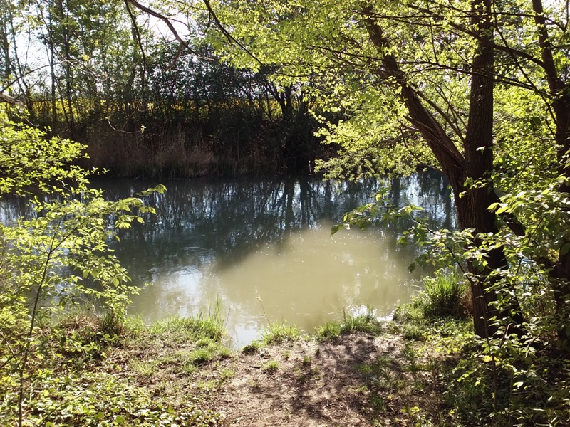 Fischerplatzl am Rußbach