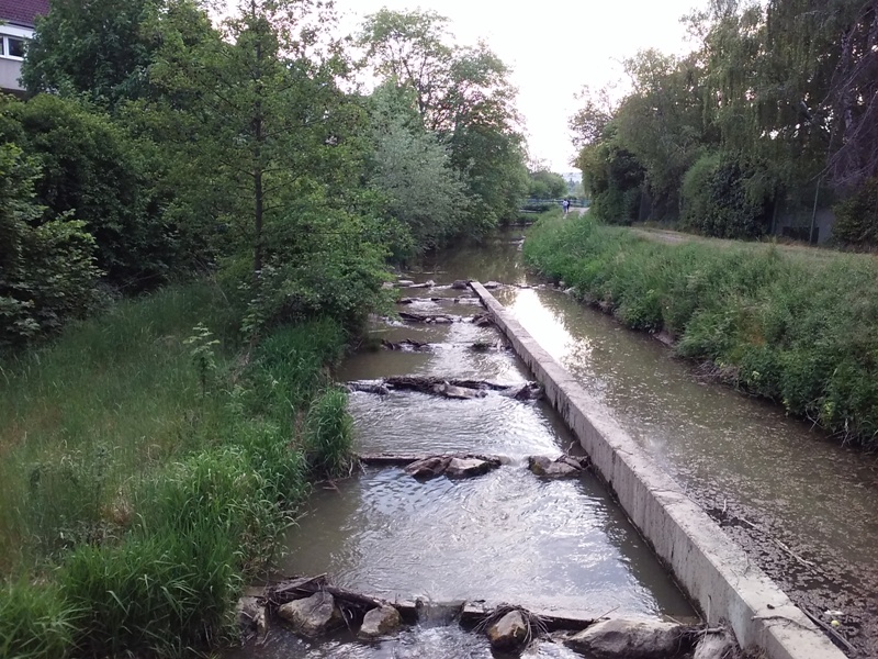 Rußbach in Wolkersdorf