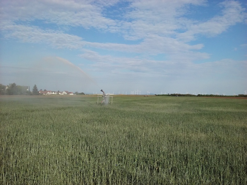 Sprinkler an der Feldgasse