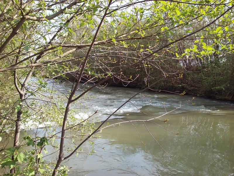 Stromschnellen am Rußbach