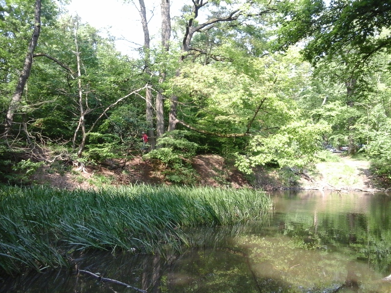 Teich am Heuberg