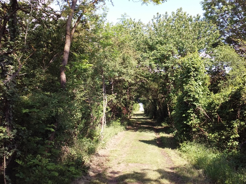 Tunnel im Windgürtel