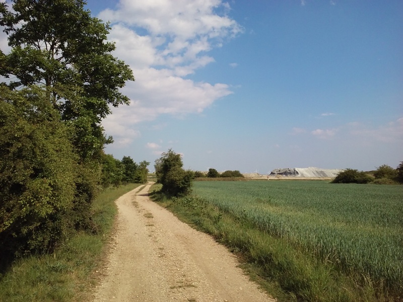 Weg in Richtung Marchfeldkogel