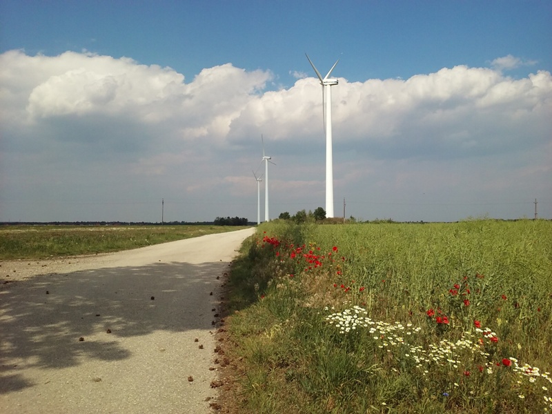 Windräder am Wagram