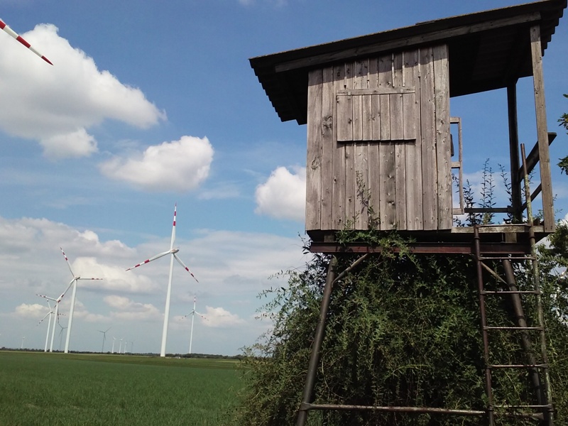 Hochsitz am Energiepark Obersiebenbrunn