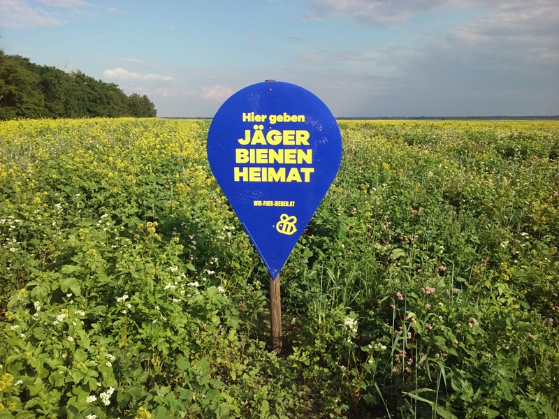 Jäger Bienen Heimat