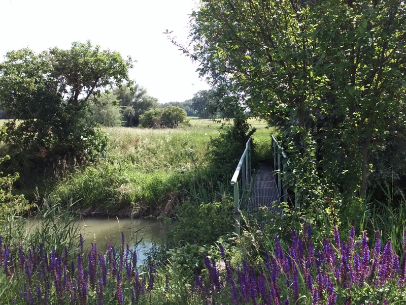 Steg am Kanal