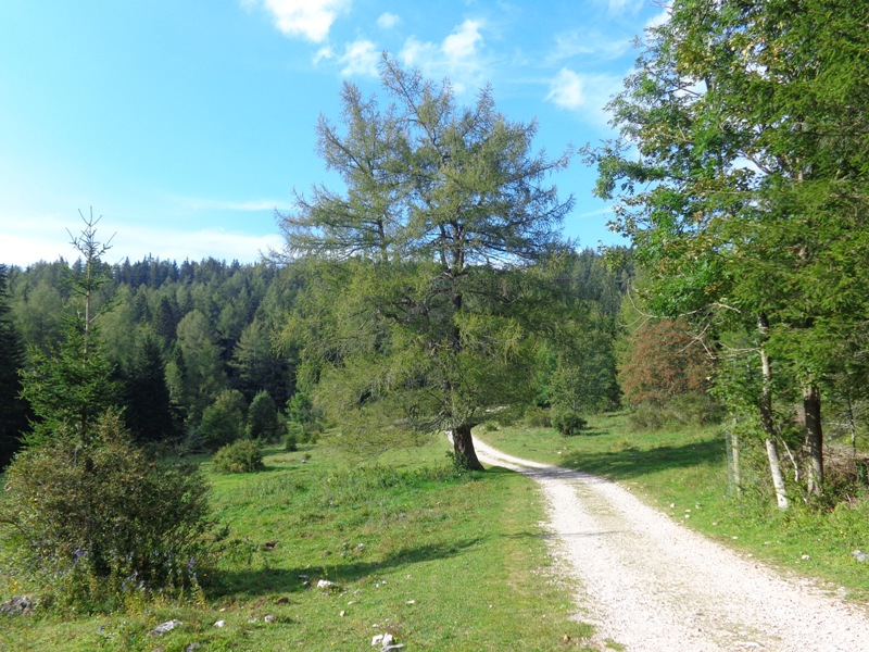 Wanderweg zur Teichalm