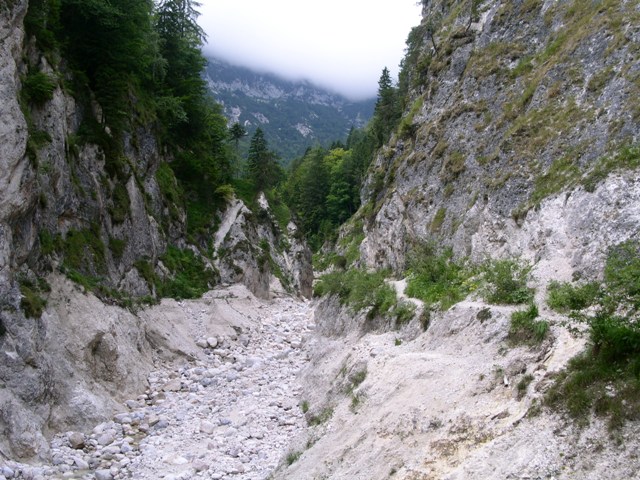 Almbachklamm bei Berchtesgaden