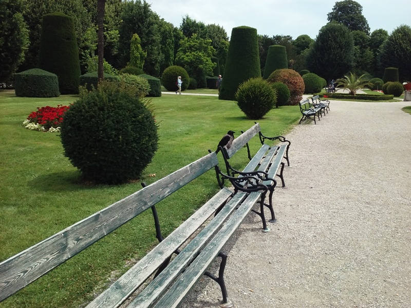 Der Vogel von Schönbrunn