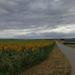 Dunkle Wolken über Bockfließ