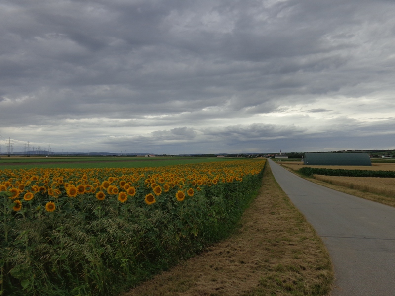 Dunkle Wolken über Bockfließ