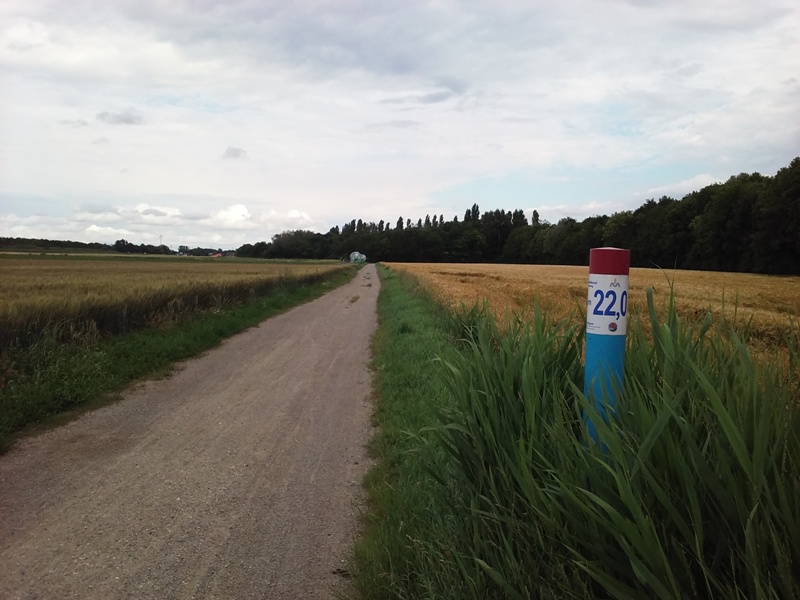 Marchfeldkanalradweg Kilometer 22