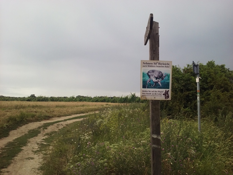 Rücksicht auf Wildtiere