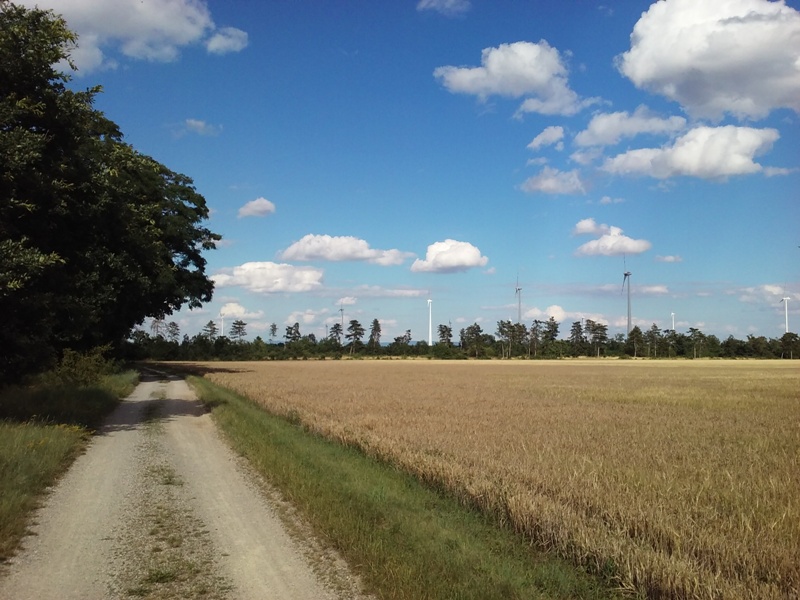 Sanddünenweg nach Gänserndorf