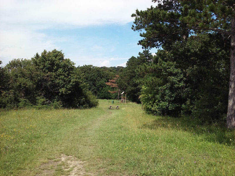 Spielplatz am Jungfernsteig