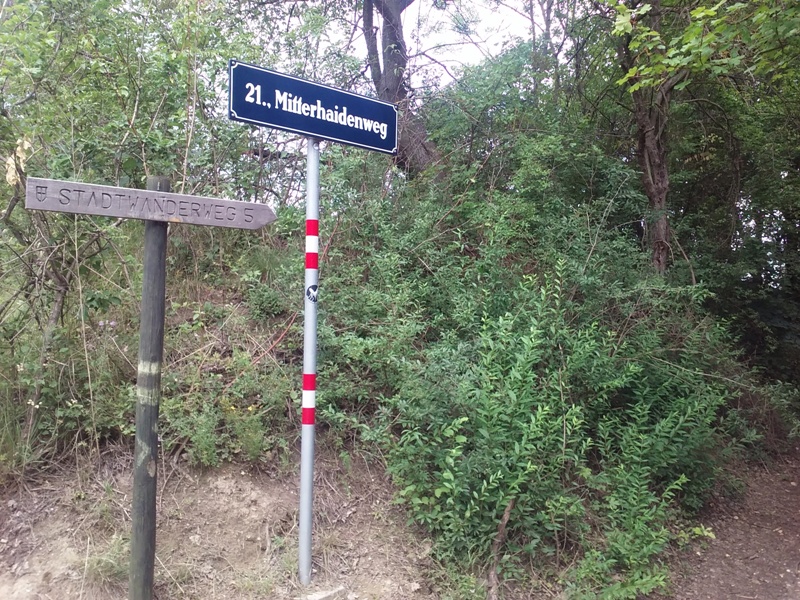 Mitterhaidenweg