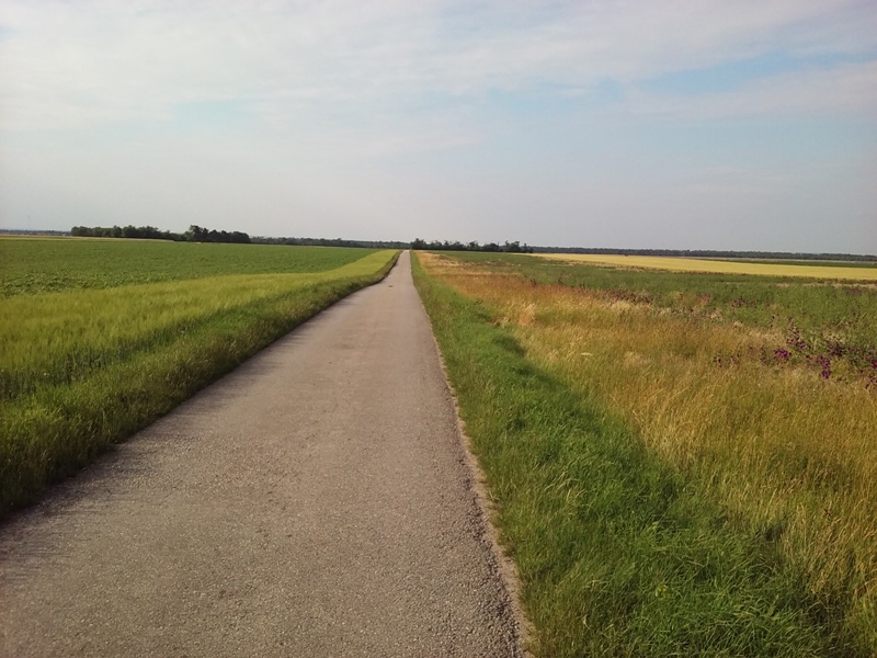 Straße zum Wagramer Wald