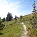 Wanderweg bei der Ellmaualm