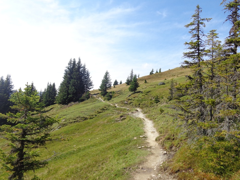 Wanderweg bei der Ellmaualm