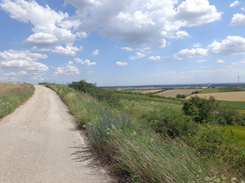 Wanderweg nach Bockfließ