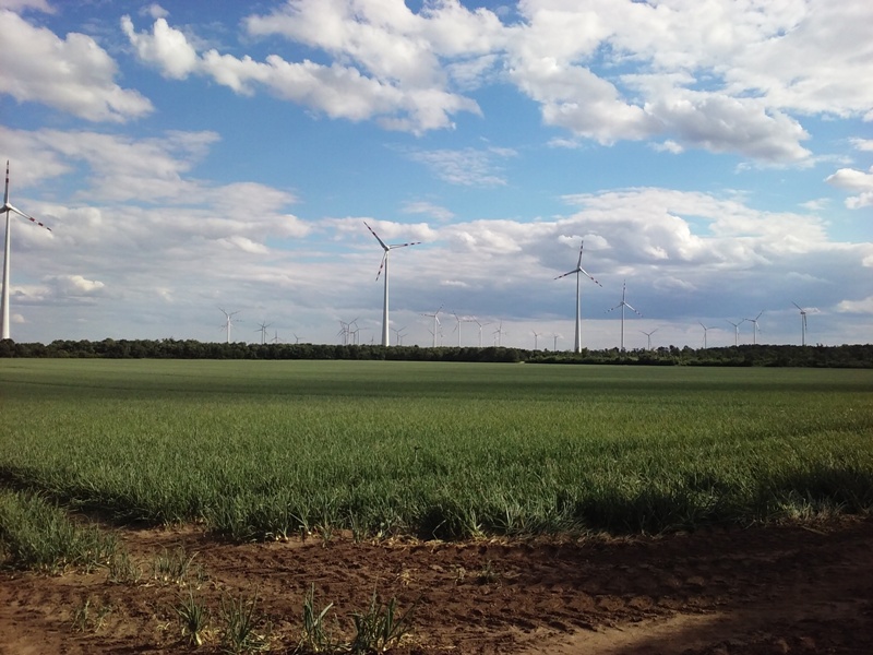 Windräder bei Siehdichfür