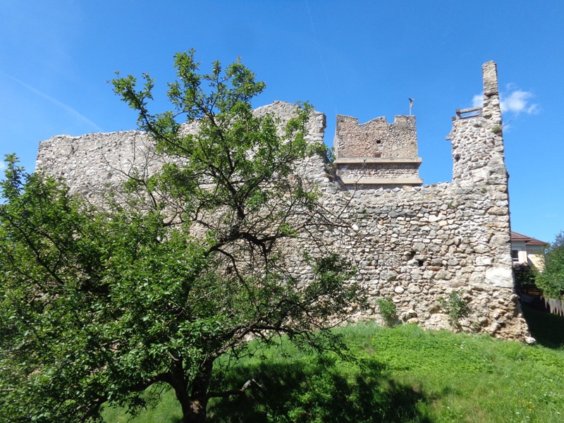 Burgruine Puchberg