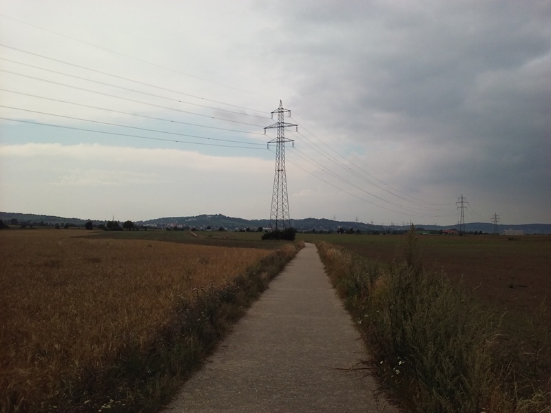 Radweg bei Föhrenhain