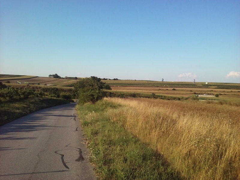 Schwarzes Gold Radweg bei Auersthal