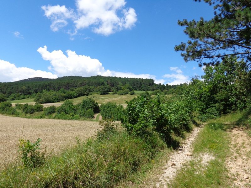 Wandern bei Döppling