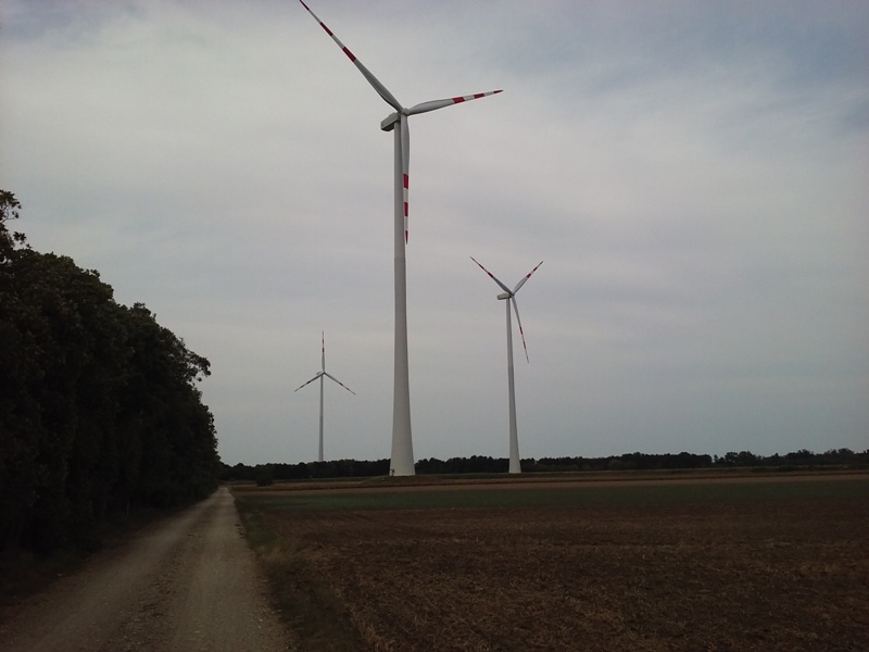 Windmühlen im Marchfeld