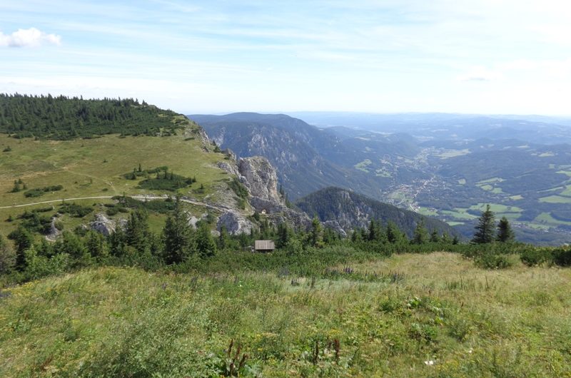 Alpengarten und Törl