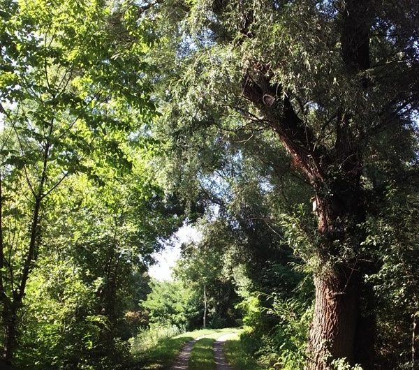 Am Marchfeldkanal