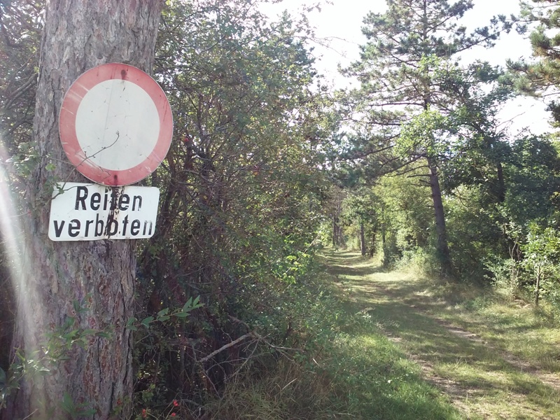 Reiten verboten